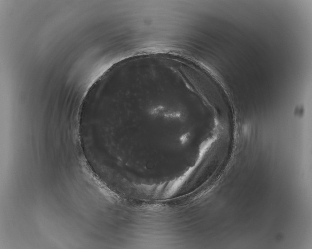 X0000111051023200907091628