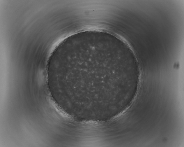 X0000111051027200907091628