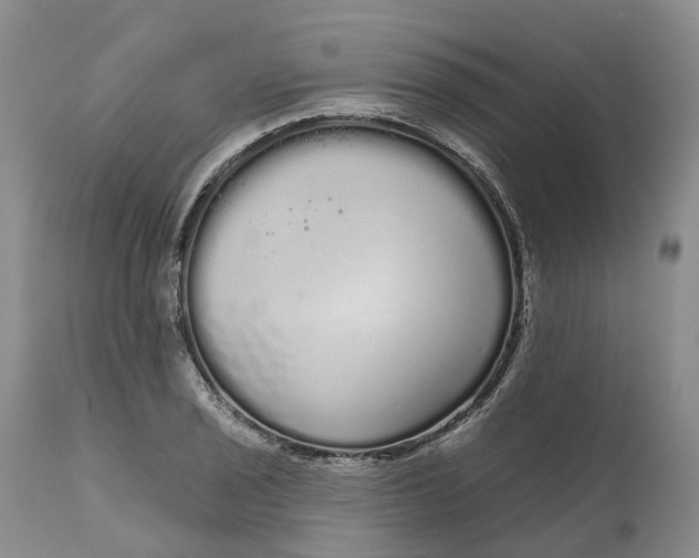 X0000111051029200907091629