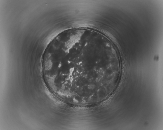 X0000111051031200907091629