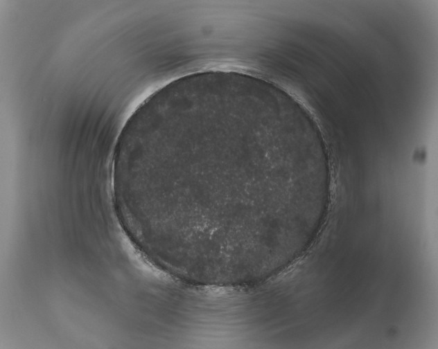 X0000111051032200907091629