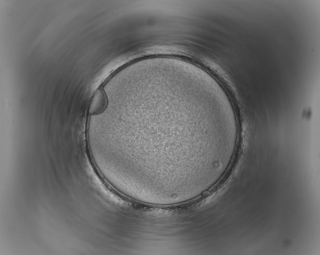 X0000111051033200907091629