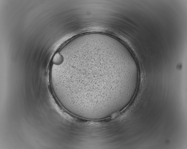 X0000111051034200907091629