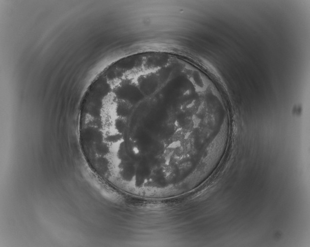 X0000111051035200907091629