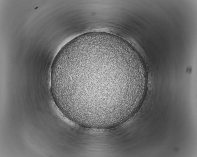 X0000111051036200907091629