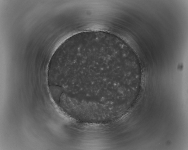 X0000111051039200907091629