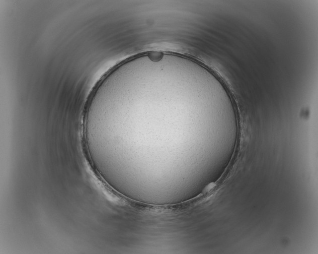 X0000111051040200907091629