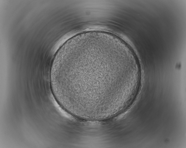 X0000111051041200907091629