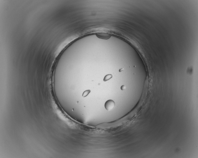 X0000111051042200907091629