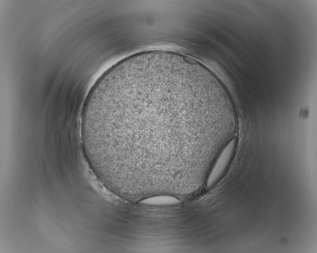 X0000111051044200907091629