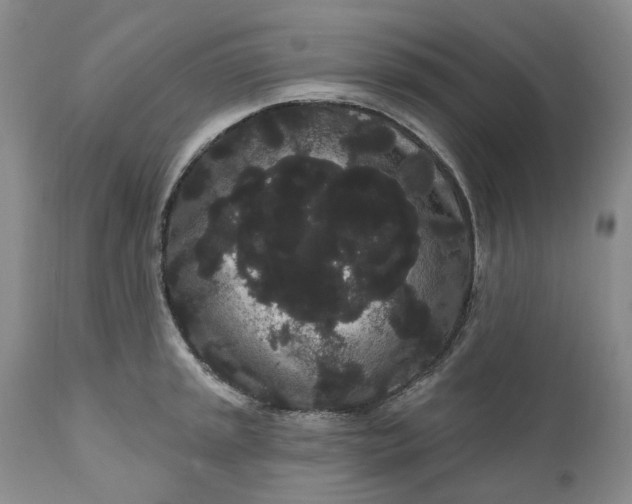 X0000111051045200907091629