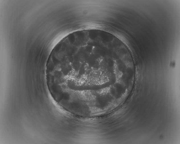 X0000111051047200907091629