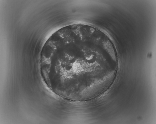 X0000111051048200907091629