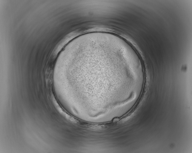 X0000111051049200907091629