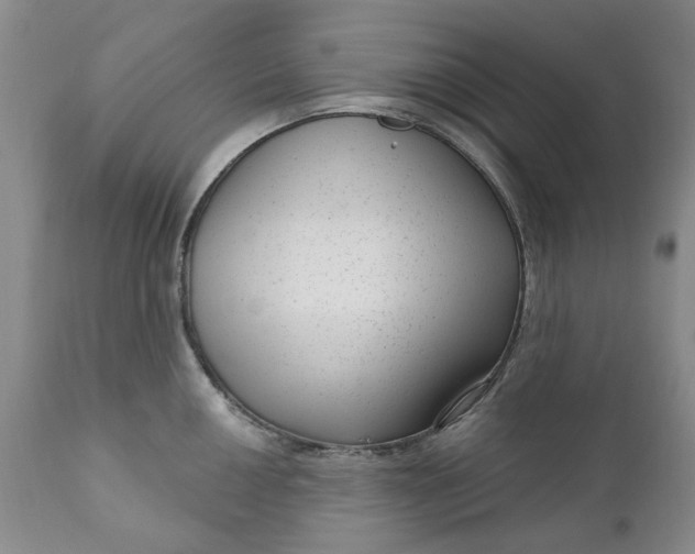 X0000111051050200907091629