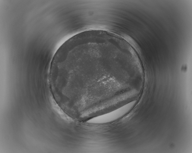 X0000111051052200907091629