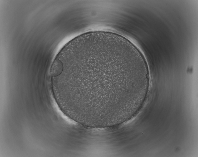 X0000111051053200907091629