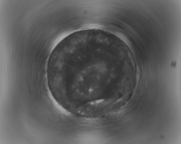 X0000111051055200907091629