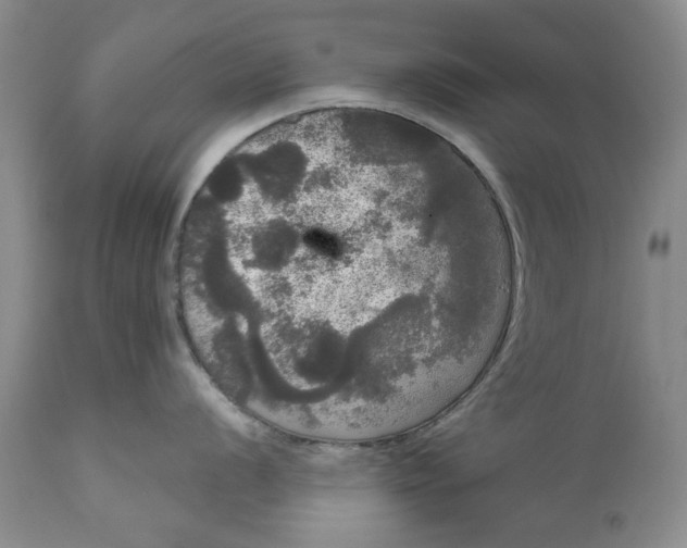 X0000111051056200907091629