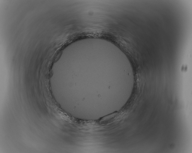 X0000111051057200907091628