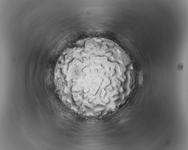 X0000111051059200907091628