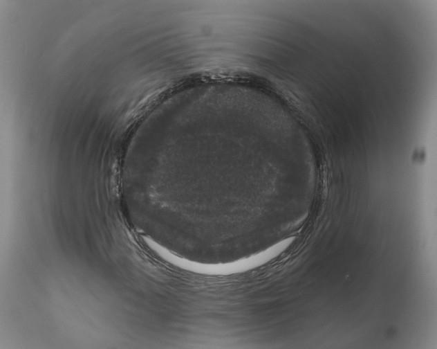 X0000111051060200907091628