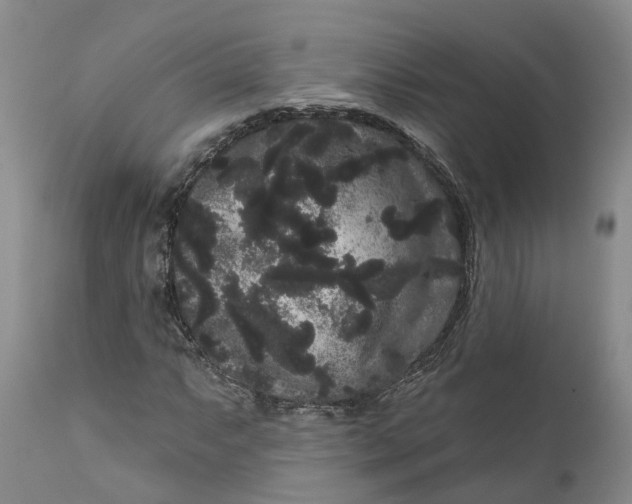 X0000111051063200907091628