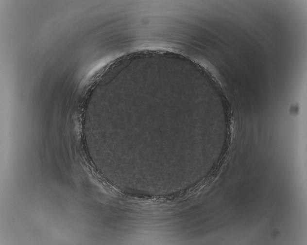 X0000111051064200907091628