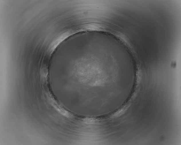 X0000111051065200907091628