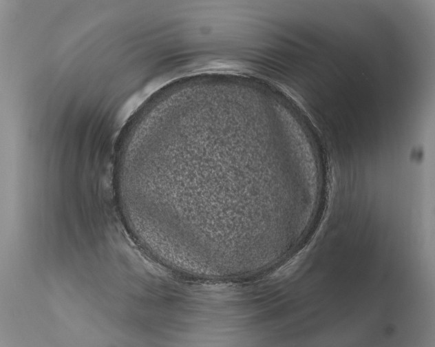 X0000111051066200907091628