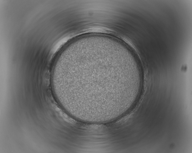 X0000111051067200907091628