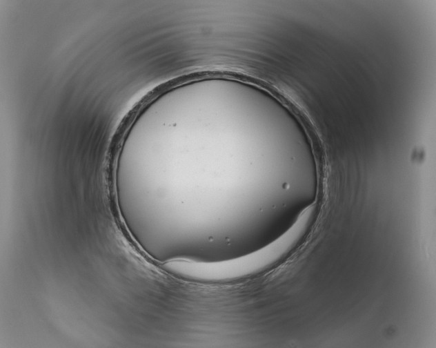 X0000111051068200907091628