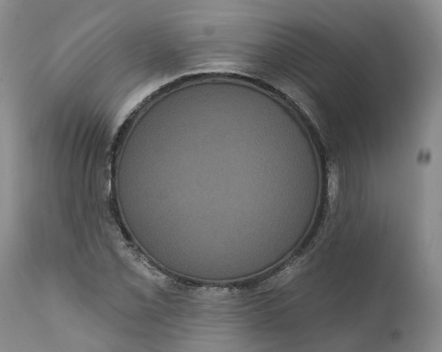 X0000111051069200907091628