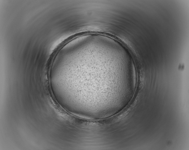 X0000111051070200907091628