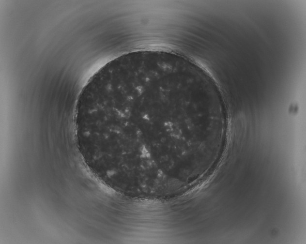 X0000111051071200907091628