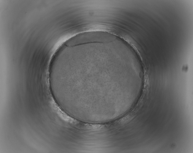 X0000111051072200907091628