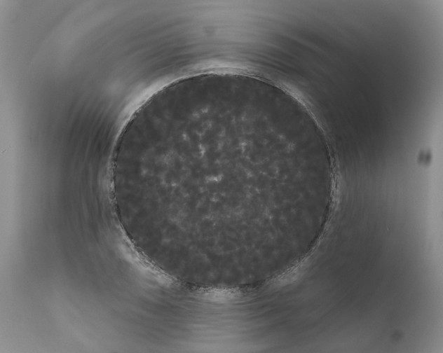 X0000111051074200907091628