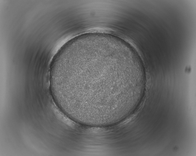 X0000111051075200907091628