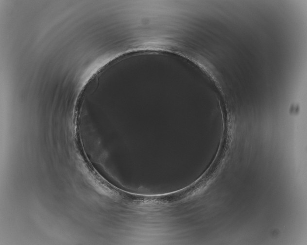 X0000111051077200907091628