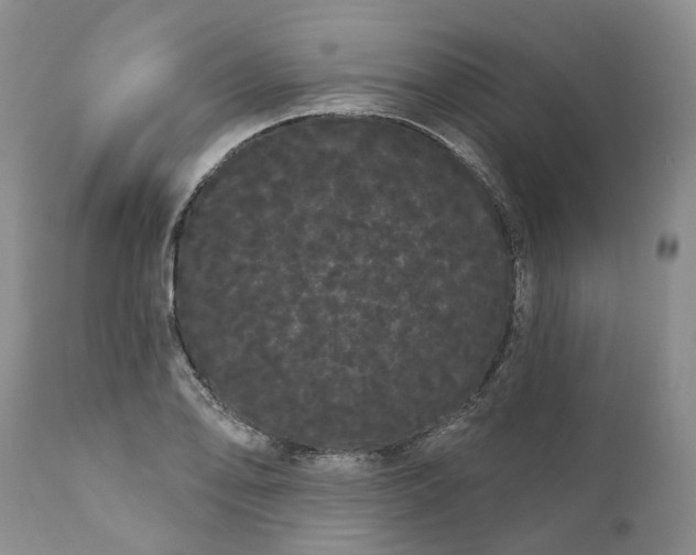 X0000111051078200907091628