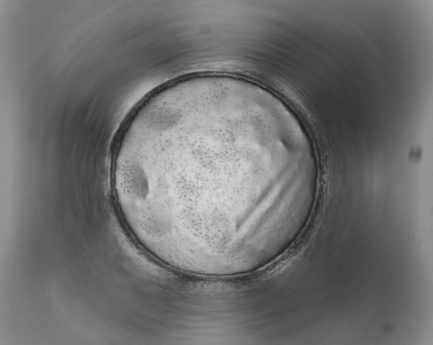 X0000111051079200907091628