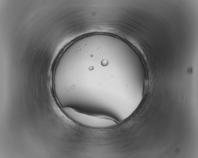 X0000111051080200907091628