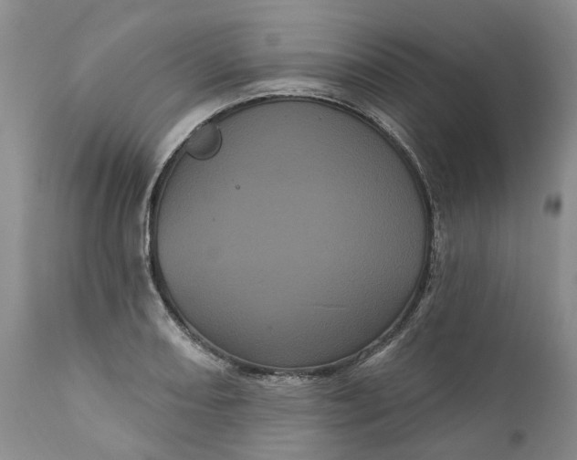 X0000111051082200907091628