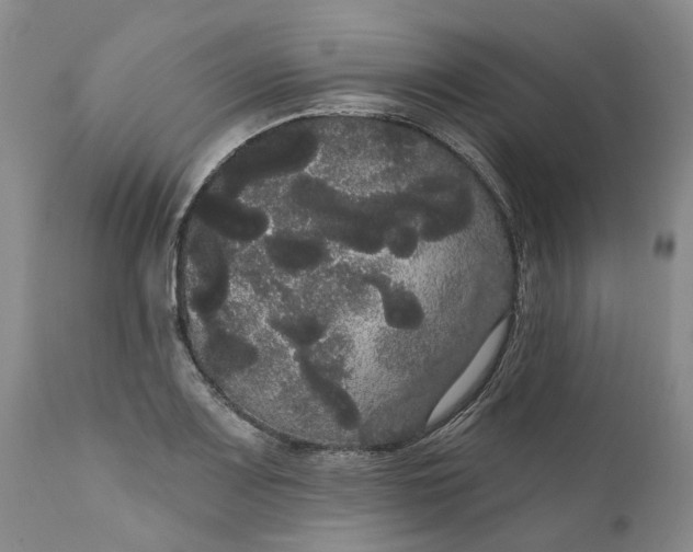 X0000111051083200907091628