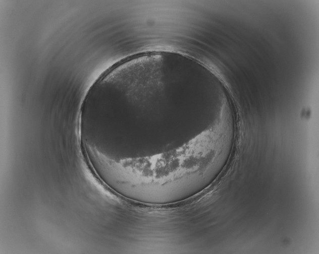 X0000111051084200907091628