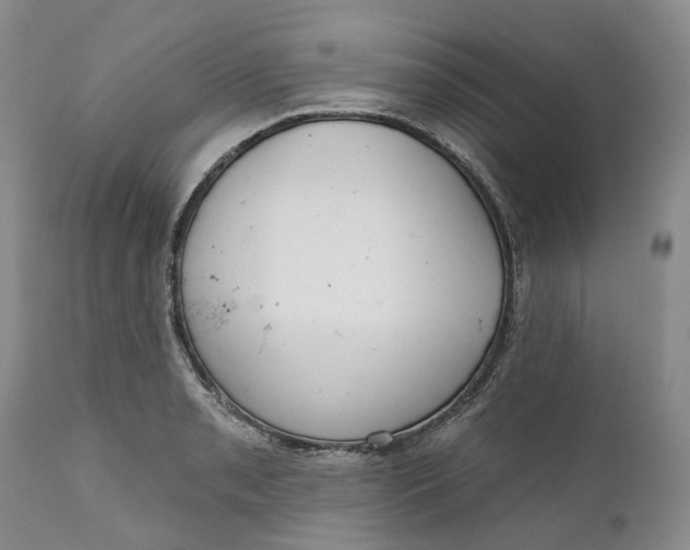 X0000111051085200907091628