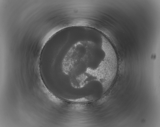 X0000111051086200907091628