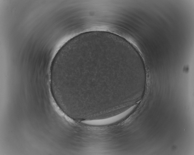 X0000111051088200907091628