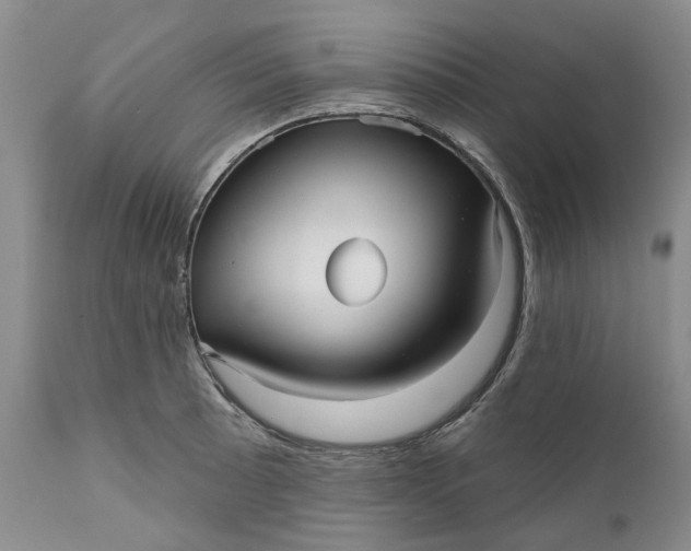 X0000111051089200907091628