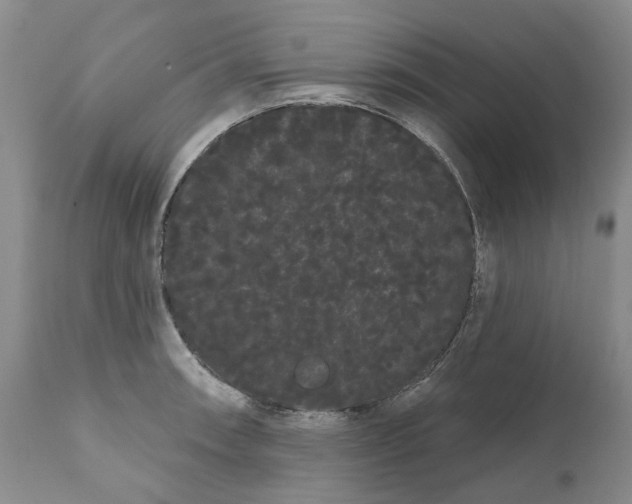 X0000111051090200907091628